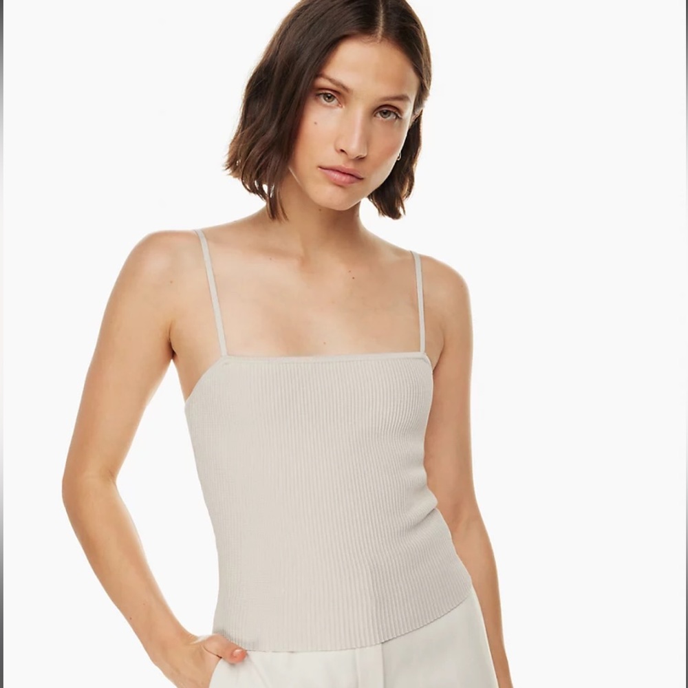 Aritzia babaton Sculpt knit cami tank